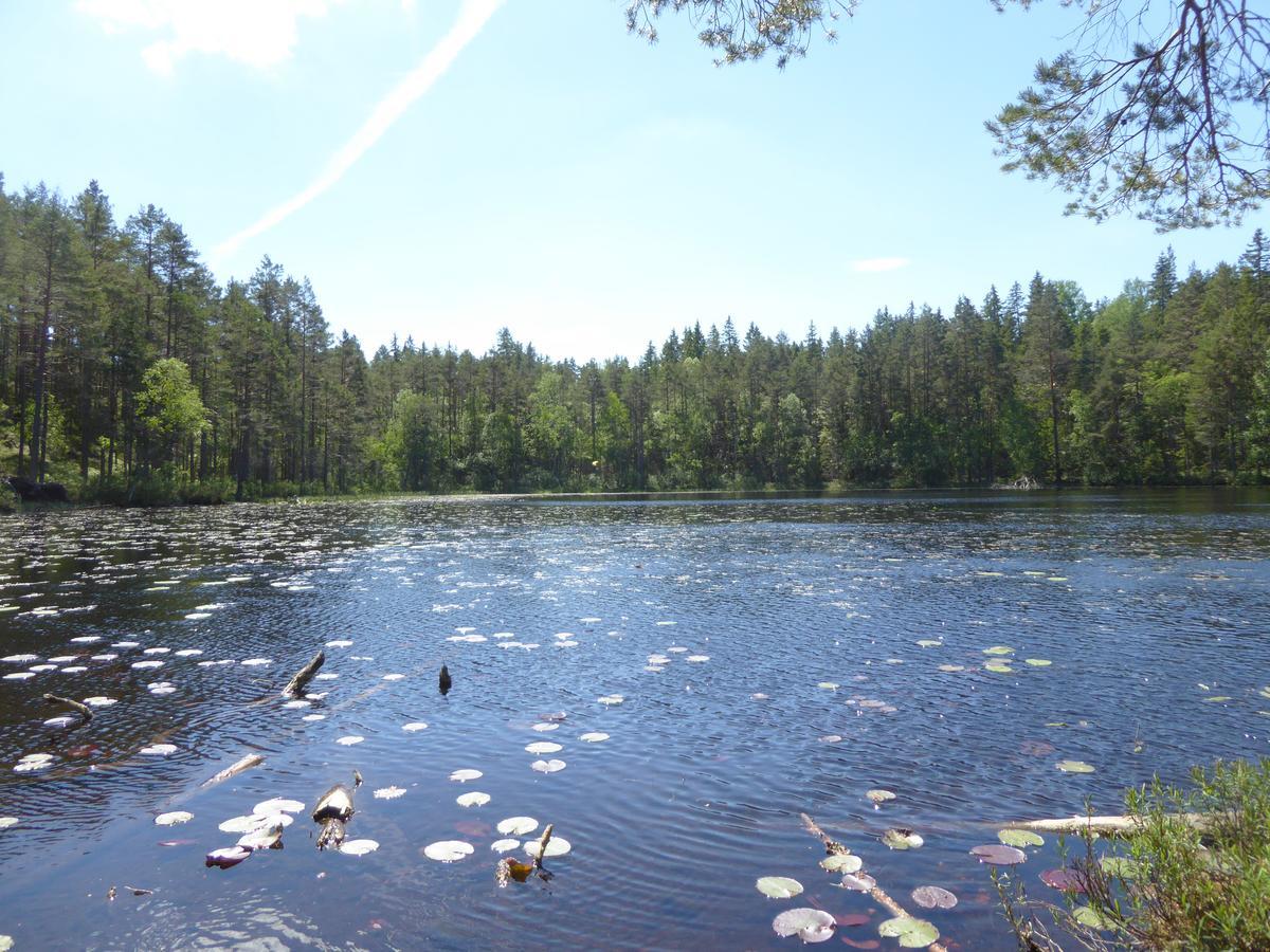 Ydrefors Bed & Breakfast Экстерьер фото